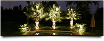 Landscape-Lighting-Services-Commercial-and-Residential